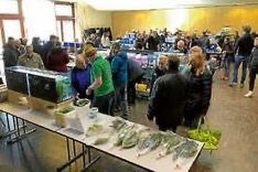 Zierfisch- und Pflanzenbörse