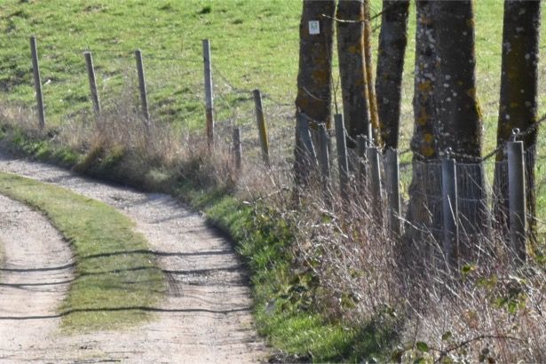 Einladung zur Hauptversammlung