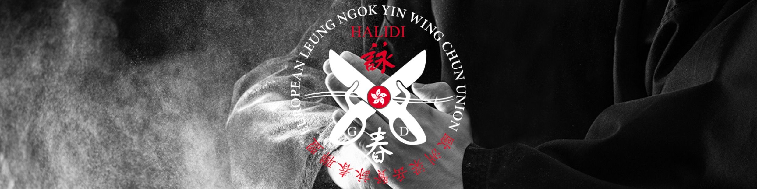 Titelbild von Wing Chun Europe | Wendlingen
