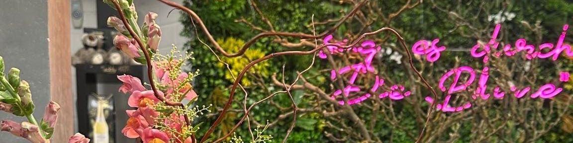 Titelbild von selders meerbusch