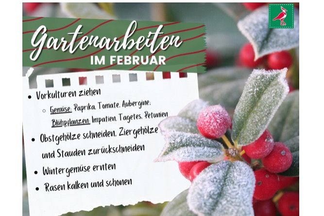Gartenarbeiten im Februar