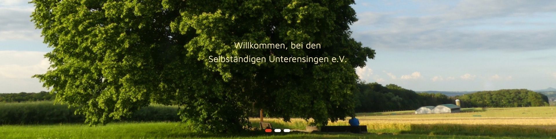 Titelbild von Die Selbständigen Unterensingen e. V. seit 1988