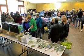 Zierfisch- und Pflanzenbörse