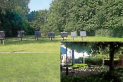 Es grünt so grün! Frühsommerimpressionen