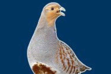 Einladung zum Umtrunk