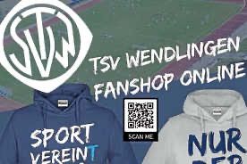 Außerordentliche Mitgliederversammlung  