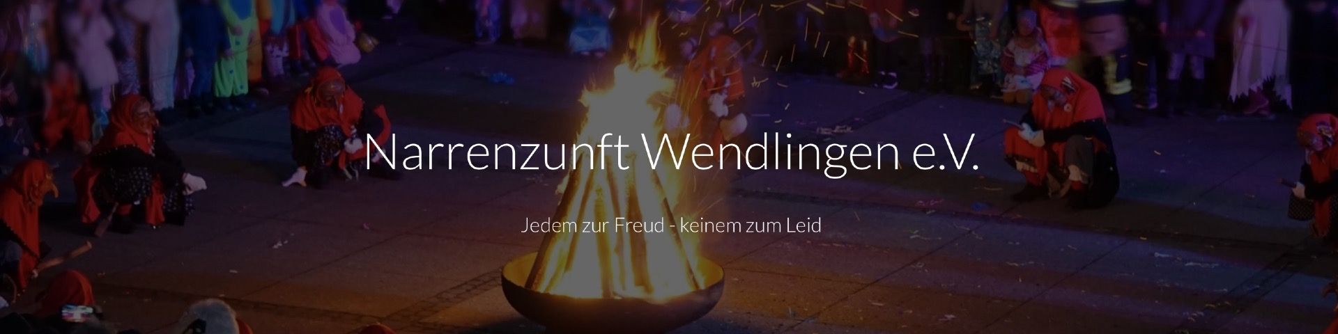 Titelbild von Narrenzunft Wendlingen e.V.