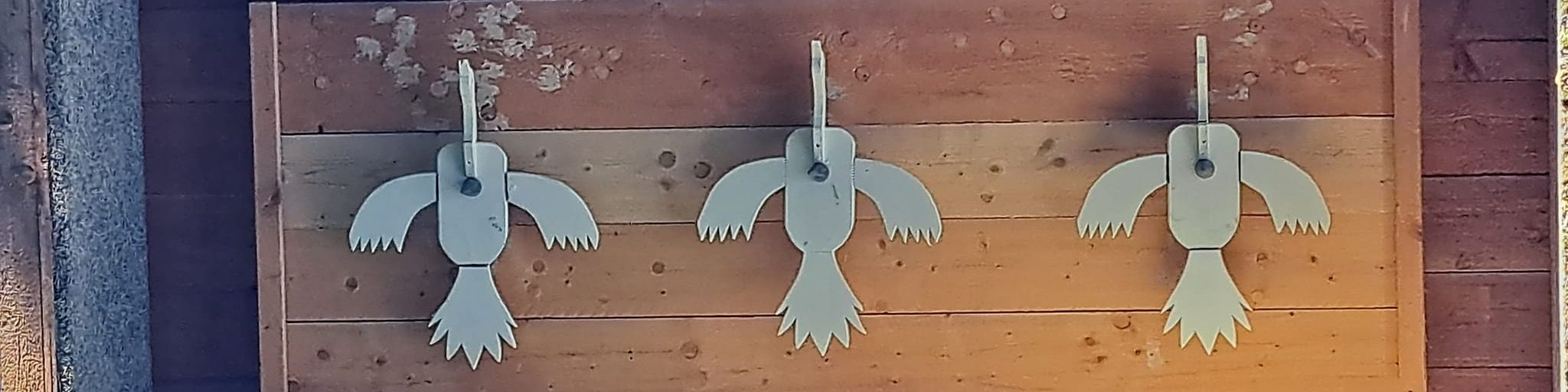 Titelbild von St. Martinus Schützenbruderschaft Langst-Kierst 