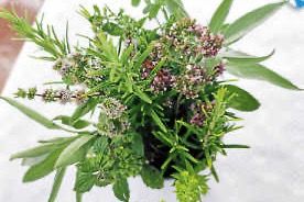 Katholischer Deutscher Frauenbund