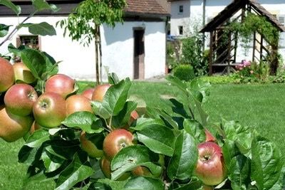 Einladung zum gemeinsamen Schnittkurs