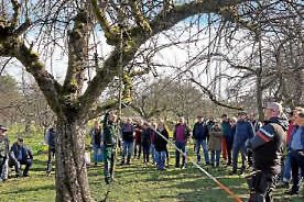 Am 2.3. Schnittkurs auf der „Patenschaftswiese“ 