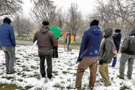 Baumschnittkurs am 2.4.