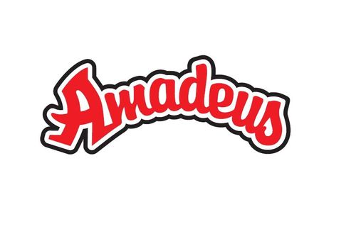 Logo von Amadeus Wendlingen