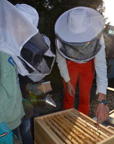 Beschreibungsbild zu Honigbank