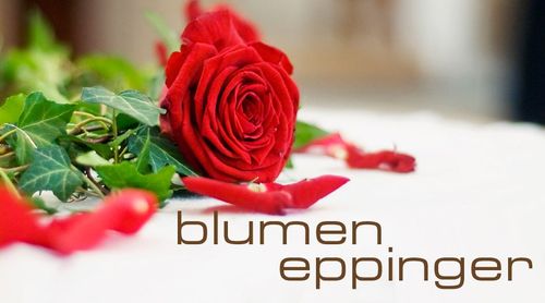 Logo von Blumen Eppinger