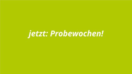 Logo von Carsharing Wendlingen