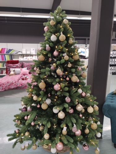 Beschreibungsbild zu LUXORETTE