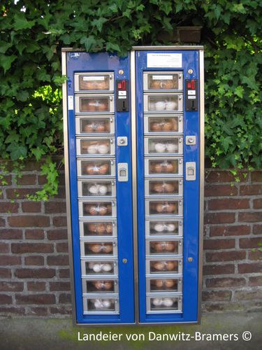 Beschreibungsbild zu Eier-Automat