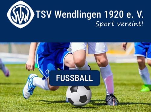 Logo von TSV Wendlingen | Fussball